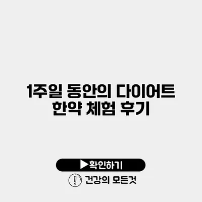 1주일 동안의 다이어트 한약 체험 후기