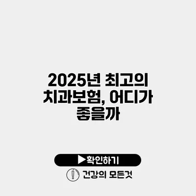 2025년 최고의 치과보험, 어디가 좋을까?