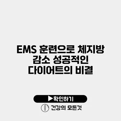 EMS 훈련으로 체지방 감소 성공적인 다이어트의 비결