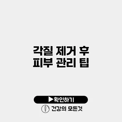 각질 제거 후 피부 관리 팁