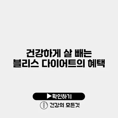 건강하게 살 빼는 블리스 다이어트의 혜택