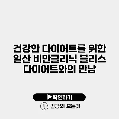 건강한 다이어트를 위한 일산 비만클리닉 블리스 다이어트와의 만남