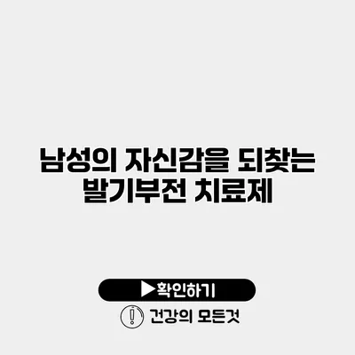남성의 자신감을 되찾는 발기부전 치료제