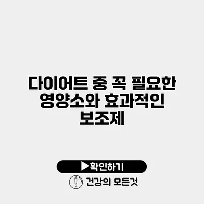 다이어트 중 꼭 필요한 영양소와 효과적인 보조제