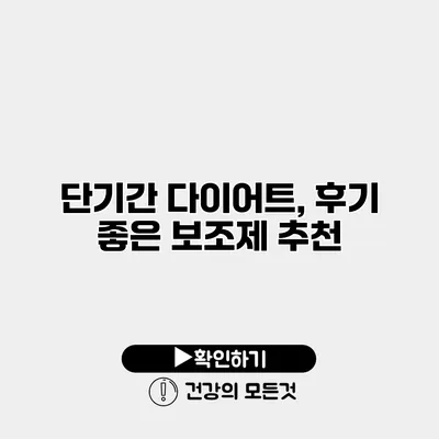 단기간 다이어트, 후기 좋은 보조제 추천