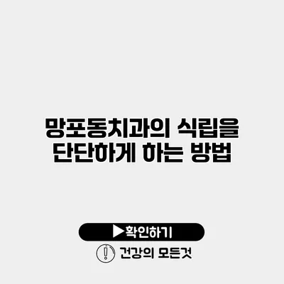 망포동치과의 식립을 단단하게 하는 방법