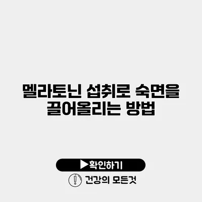 멜라토닌 섭취로 숙면을 끌어올리는 방법