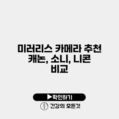 미러리스 카메라 추천 캐논, 소니, 니콘 비교
