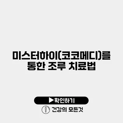 미스터하이(코코메디)를 통한 조루 치료법