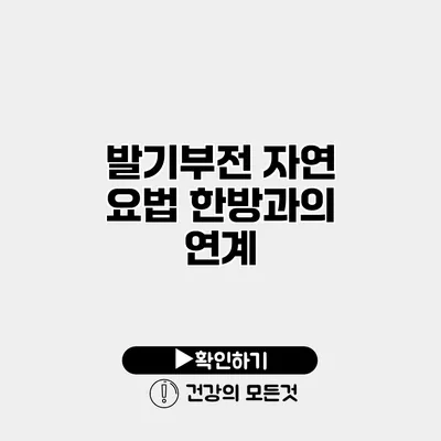 발기부전 자연 요법 한방과의 연계
