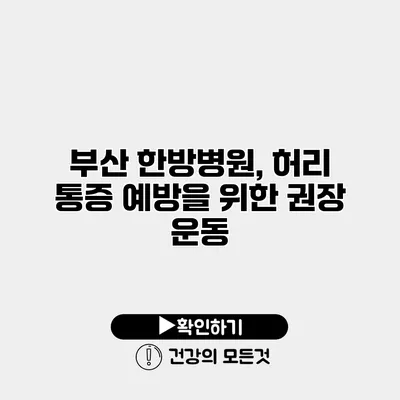 부산 한방병원, 허리 통증 예방을 위한 권장 운동