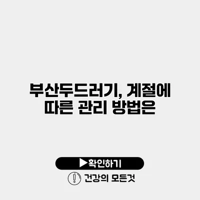 부산두드러기, 계절에 따른 관리 방법은?