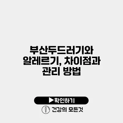 부산두드러기와 알레르기, 차이점과 관리 방법