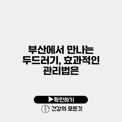 부산에서 만나는 두드러기, 효과적인 관리법은?