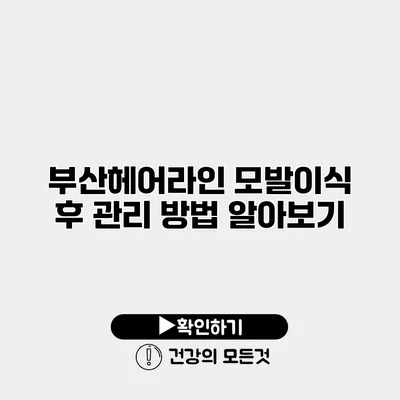 부산헤어라인 모발이식 후 관리 방법 알아보기