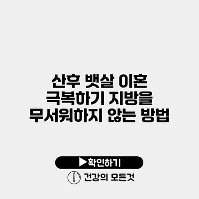 산후 뱃살 이혼 극복하기 지방을 무서워하지 않는 방법