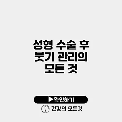 성형 수술 후 붓기 관리의 모든 것