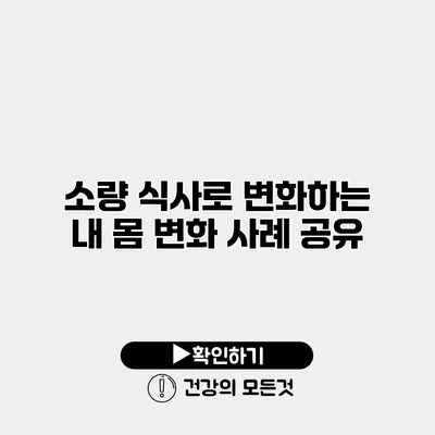 소량 식사로 변화하는 내 몸 변화 사례 공유