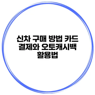 신차 구매 방법 카드 결제와 오토캐시백 활용법