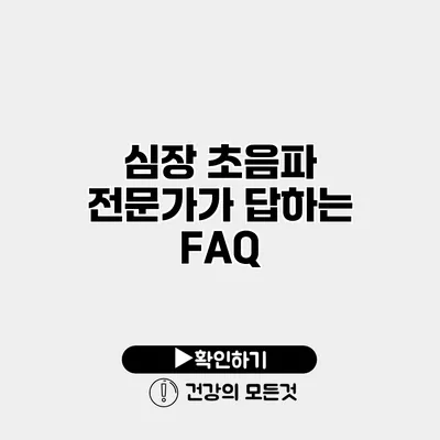 심장 초음파 전문가가 답하는 FAQ