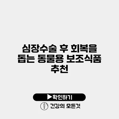 심장수술 후 회복을 돕는 동물용 보조식품 추천