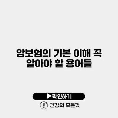 암보험의 기본 이해 꼭 알아야 할 용어들