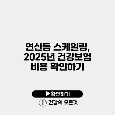 연산동 스케일링, 2025년 건강보험 비용 확인하기