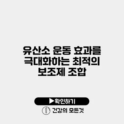 유산소 운동 효과를 극대화하는 최적의 보조제 조합