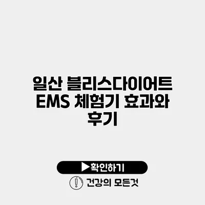 일산 블리스다이어트 EMS 체험기 효과와 후기