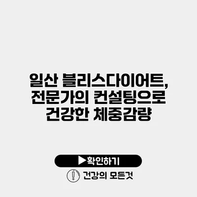 일산 블리스다이어트, 전문가의 컨설팅으로 건강한 체중감량