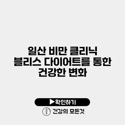 일산 비만 클리닉 블리스 다이어트를 통한 건강한 변화