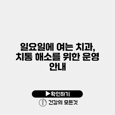 일요일에 여는 치과, 치통 해소를 위한 운영 안내