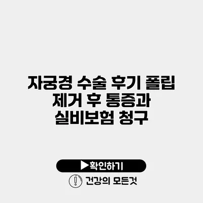 자궁경 수술 후기 폴립 제거 후 통증과 실비보험 청구