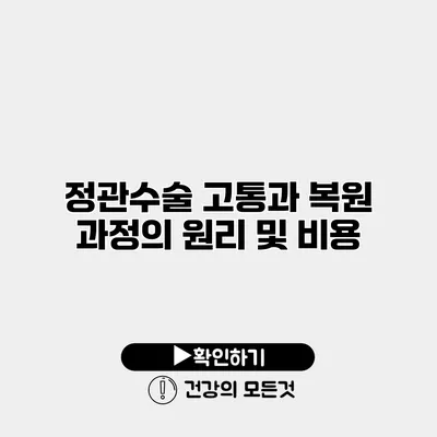 정관수술 고통과 복원 과정의 원리 및 비용