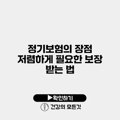 정기보험의 장점 저렴하게 필요한 보장 받는 법