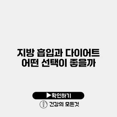 지방 흡입과 다이어트 어떤 선택이 좋을까?