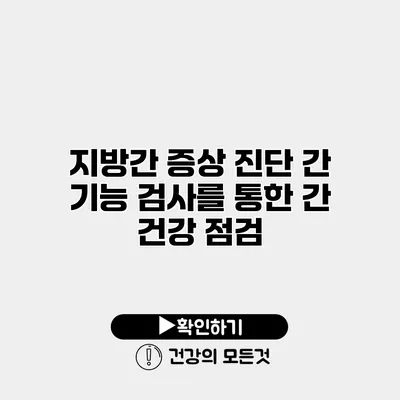 지방간 증상 진단 간 기능 검사를 통한 간 건강 점검