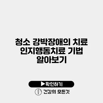 청소 강박장애의 치료 인지행동치료 기법 알아보기