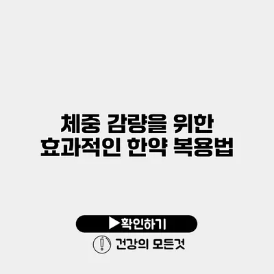 체중 감량을 위한 효과적인 한약 복용법