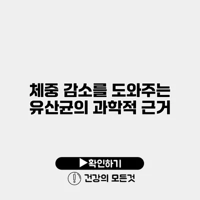 체중 감소를 도와주는 유산균의 과학적 근거