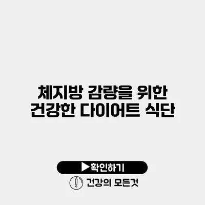 체지방 감량을 위한 건강한 다이어트 식단
