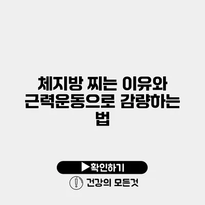 체지방 찌는 이유와 근력운동으로 감량하는 법