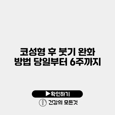 코성형 후 붓기 완화 방법 당일부터 6주까지