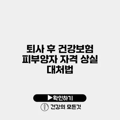 퇴사 후 건강보험 피부양자 자격 상실 대처법