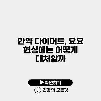 한약 다이어트, 요요 현상에는 어떻게 대처할까?