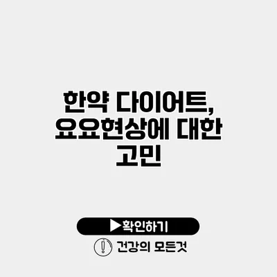 한약 다이어트, 요요현상에 대한 고민
