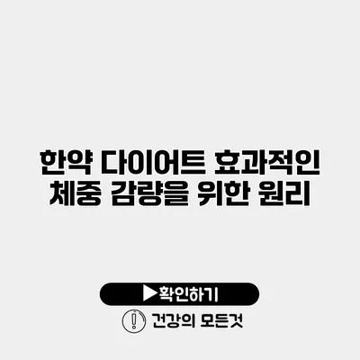 한약 다이어트 효과적인 체중 감량을 위한 원리
