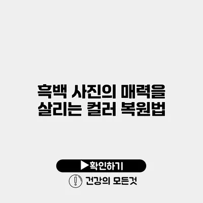 흑백 사진의 매력을 살리는 컬러 복원법