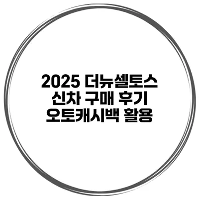 2025 더뉴셀토스 신차 구매 후기 오토캐시백 활용