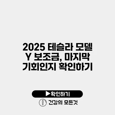 2025 테슬라 모델 Y 보조금, 마지막 기회인지 확인하기